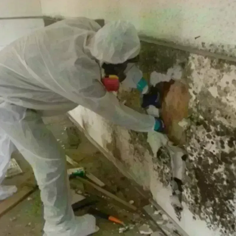 Mold Remediation and Removal in Mathews County, VA